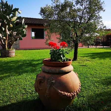 Villa Caise à Castelnuovo Magra Extérieur photo